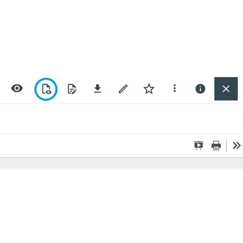 view_document.png
